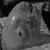 :iconsmartpatrol42: