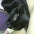:iconsmarty31: