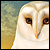 Smashedskies :iconsmashedskies: