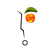 :iconsmashshell:
