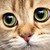 :iconsmayly: