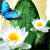 :iconsmellkid: