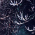 :iconsmellout: