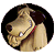 :iconsmerdaleon: