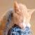:iconsmexy-kitty: