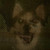:iconsmile-dog-jpg: