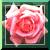 :iconsmile-its-simple: