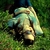 :iconsmile2world: