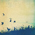 :iconsmile954: