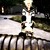 :iconsmilebigcosplay: