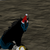 :iconsmileepic12: