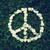 :iconsmileloveart17: