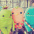 :iconsmilepink: