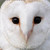 :iconsmiley-baby0: