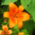 :iconsmiley0531: