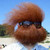 :iconsmileybeard: