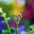 :iconsmileyouarebeautyful: