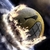:iconsmileyq: