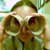 :iconsmilingjots: