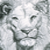 :iconsmintz-candy: