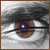 :iconsmirkdog: