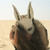 :iconsmithereensurrealice: