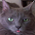 :iconsmithk: