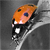 :iconsmkndrgn: