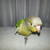 :iconsmla92: