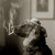 :iconsmokedaawg: