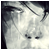 :iconsmokenoiseviolations: