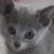 :iconsmokey2524: