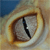 :iconsmonkey: