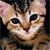 :iconsmoothassilk: