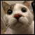 :iconsmoovi: