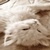 :iconsmotheredpsyche: