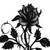 :iconsmrp227: