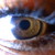 :iconsms876: