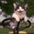 :iconsmsathenacat: