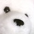 :iconsmuffy26: