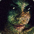 :iconsmvphotography: