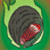 :iconsn0tti3:
