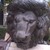 :iconsnackman1: