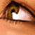 :iconsnake0101: