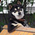 :iconsnake9008: