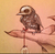:iconsnakecharmer39: