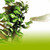 :iconsnakemet59: