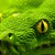 :iconsnakesanddragons1355: