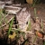 :iconsnakestills: