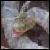 :iconsnakewrangler: